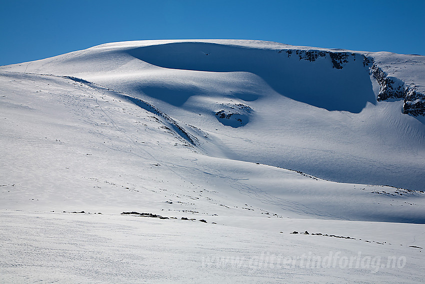 Leirhøe (2330 moh) sett fra nord.