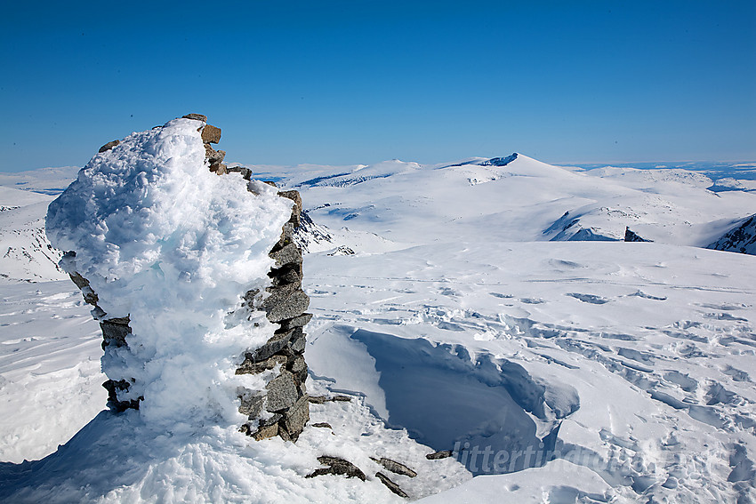 På toppen av Leirhøe (2330 moh) med Nautgardstinden (2258 moh) som dominerende topp i bakgrunnne.