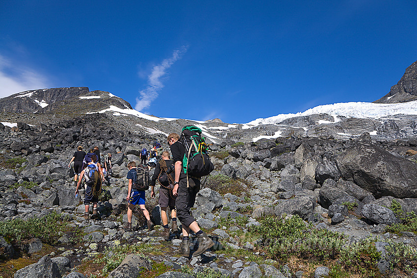 Gruppe på vei til brevandring på Svellnosbrean som ses bak til høyre.