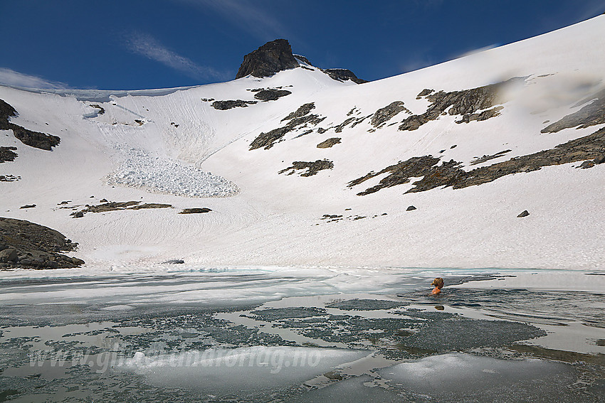 Isbading i tjern ved Svellnosbrean en varm sommerdag. I bakgrunnen begynnelsen på Tverråtindryggen. Legg for øvrig merke til det relativt voksne raset som har gått i bakgrunnen.