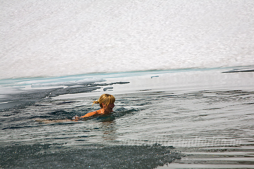 Isbading i tjern ved Svellnosbrean en varm sommerdag.