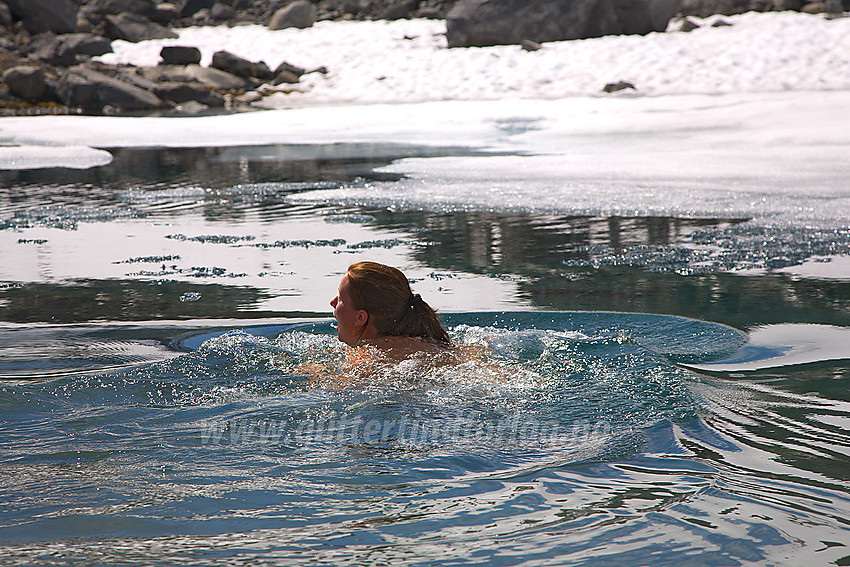 Isbading i lite tjern oppe ved Svellnosbrean en varm sommerdag.