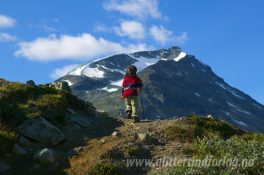 Liten fjellvandrer på vei mot Hellstuguhaugen. Her med Styggehøe (2213 moh) i bakgrunnen.