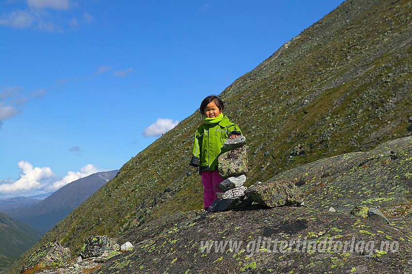 På Hellstuguhaugen, en flott liten utsiktshaug, ikke langt fra Spiterstulen i Visdalen.