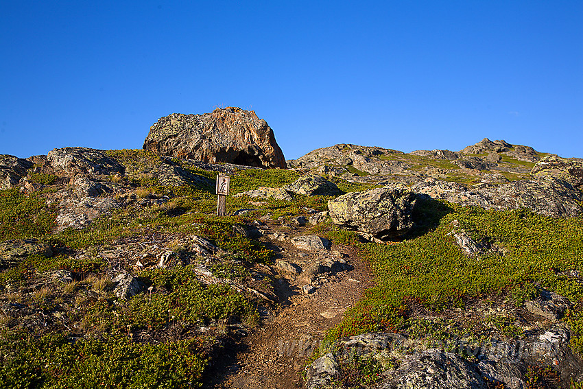 Sti i retning Læshøe, i utkanten av Jotunheimen mot Lom.