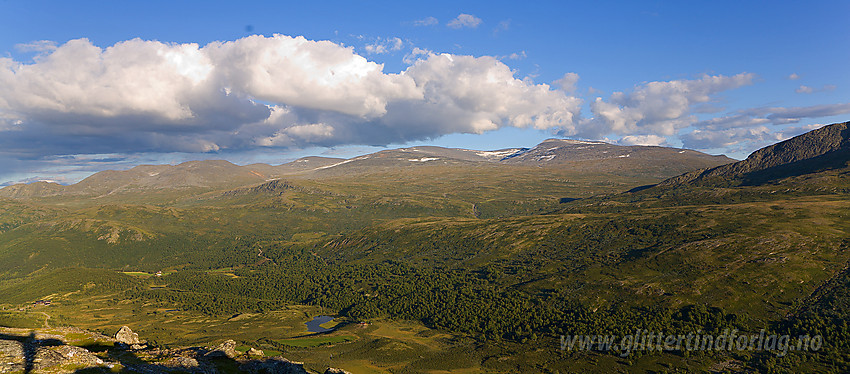 Sommerkveld på toppen av Læshøe med Meadalen i forgrunnen og Kvitingskjølen i bakgrunnen. Helt til venstre ses Soleggen.