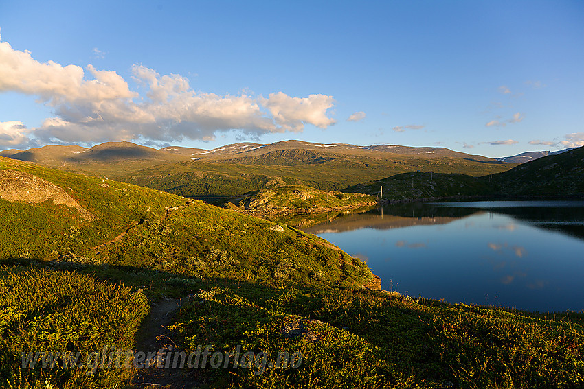 Sommerkveld ved Ause (tjernet) øst for Læshøe med Kvitingskjølen i bakgrunnen.