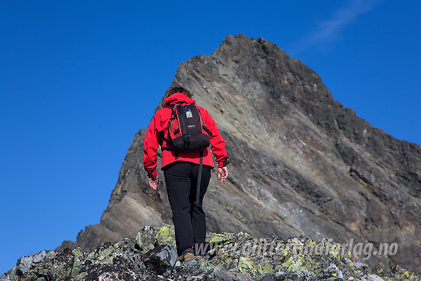 Like ved Uranostinden S1 med den kvasse sørryggen opp til Uranostinden (2157 moh) i bakgrunnen.