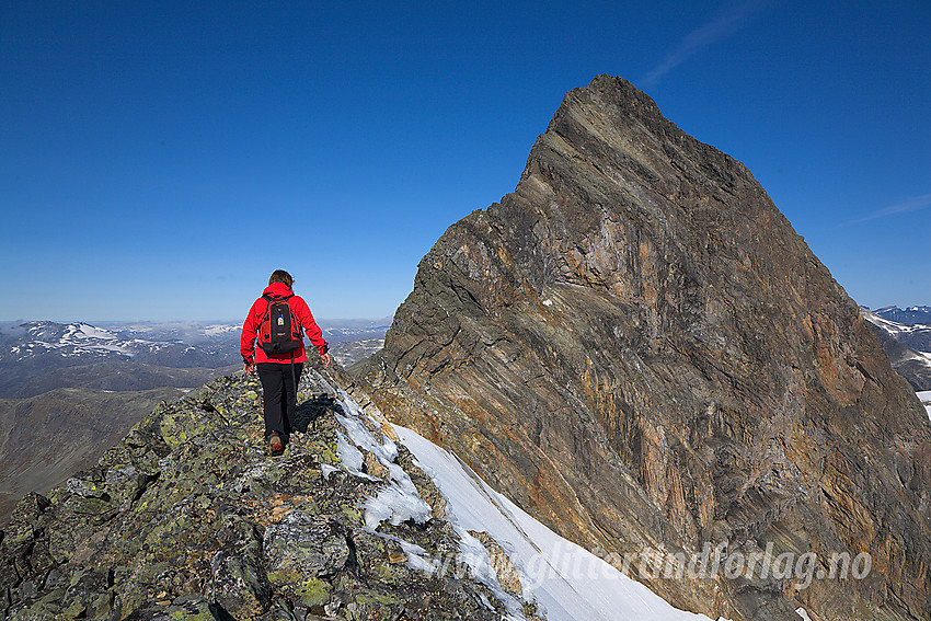 På toppen av Uranostinden S1 (2037 moh) med Uranostinden (2157 moh) i bakgrunnen.