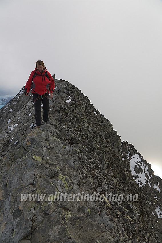 Toppeggen på Uranostinden (2157 moh).