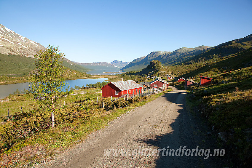 Ved Strøsstølane med Helin i bakgrunnen.