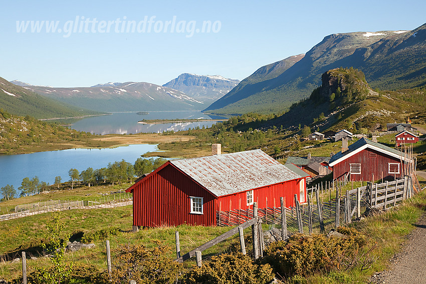 Ved Strøsstølane med Helin i bakgrunnen.