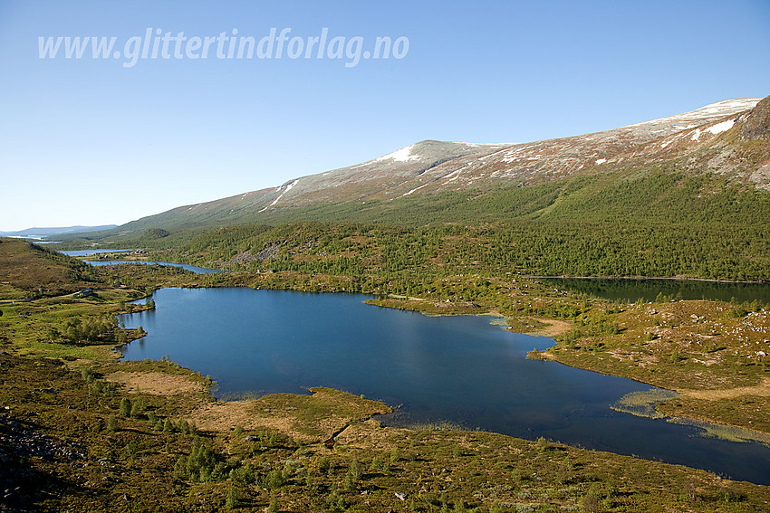 Ved Strø i Vestre Slidre med Strøstjern i forgrunnen og Gråkampen (1595 moh) i bakgrunnen.