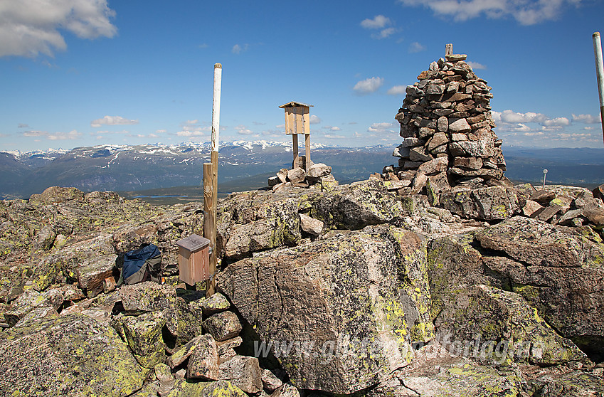 På toppen av Gilafjellet (1582 moh).