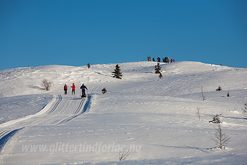 De siste bakkene opp mot Syni (1137 moh) i Nord-Aurdal en flott februardag.