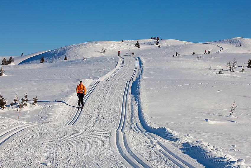 De siste bakkene opp mot Syni (1137 moh) i Nord-Aurdal en flott februardag.