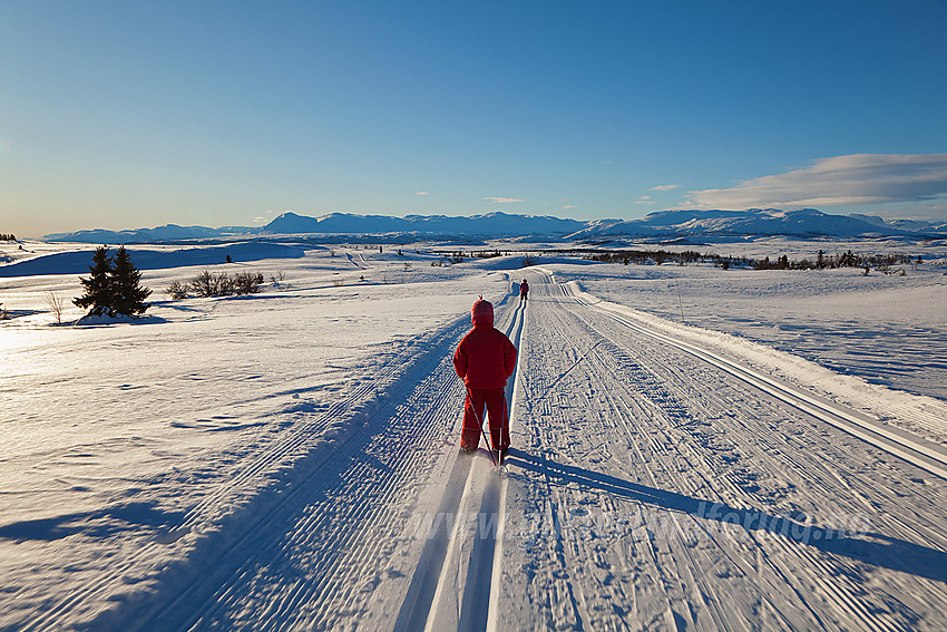 På vei ned fra Syni i Nord-Aurdal med fjell som bl.a. Skogshorn, Veslebottenskarvet og Storlifjell/Gråskarvet (til høyre) i bakgrunnen.