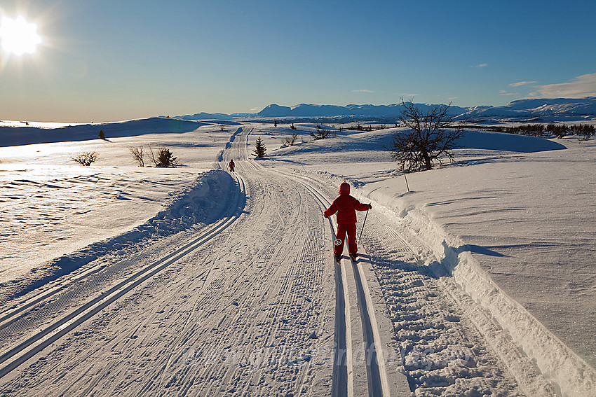 På vei ned fra Syni i Nord-Aurdal med fjell som bl.a. Skogshorn  og Veslebottenskarvet i bakgrunnen.