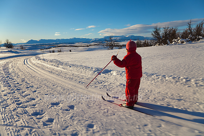 På vei ned fra Syni i Nord-Aurdal med fjell som Skogshorn, Veslebottenskarvet og Storlifjell/Gråskarvet i bakgrunnen.