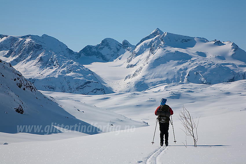 Skiløper på vei ned Memurudalen med Knutsholet og Knutsholstindane i bakgrunnen.