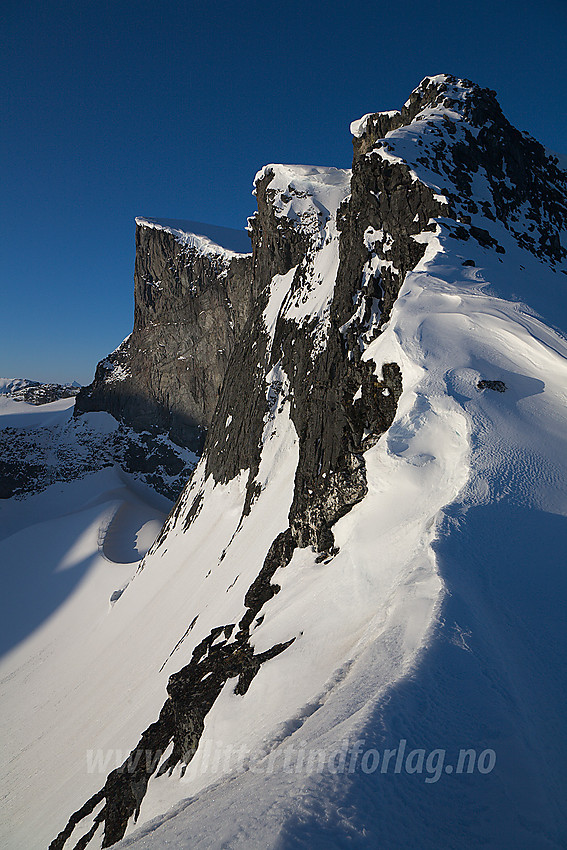 Bukkehøe (2314 moh) med nordryggen. Et flott perspektiv på en flott topp.