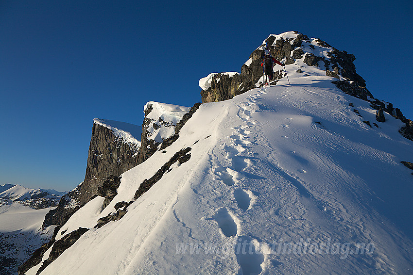 På vei opp nordryggen på Bukkehøe (2314 moh) som ses i bakgrunnen.