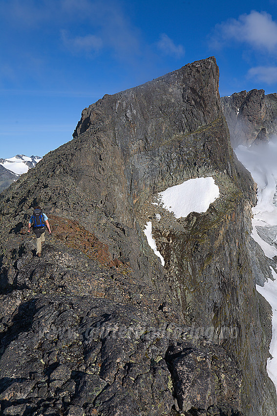 På Surtningssues sørrygg på vei mot Søre (2133 moh).