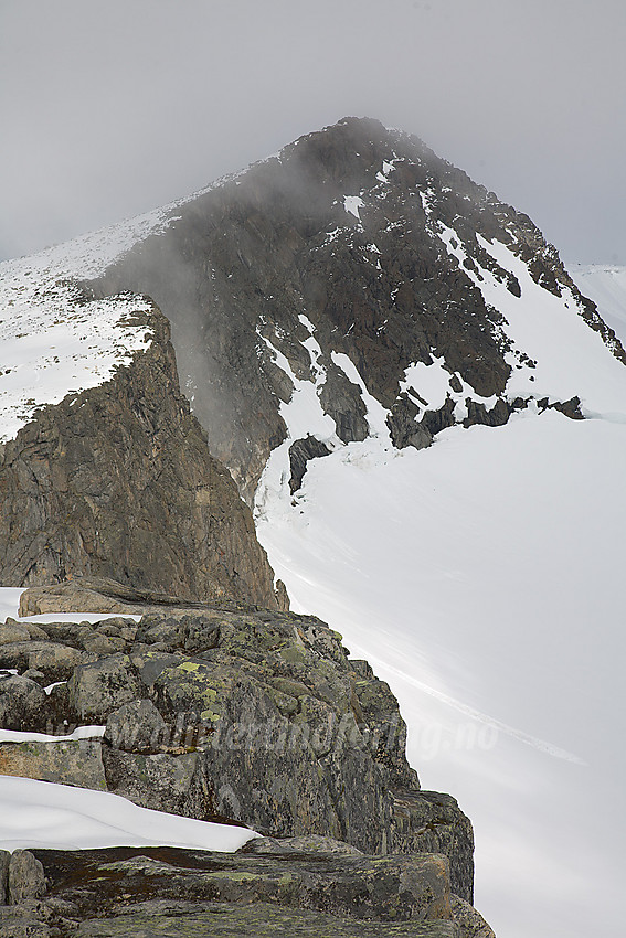 Fra Sørtoppen (2302 moh) mot Surtningssue (2368 moh).