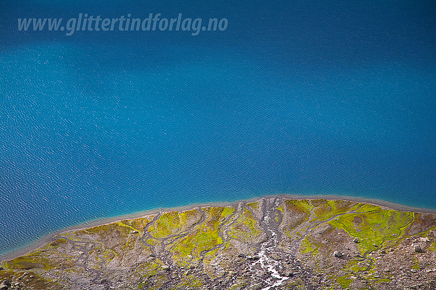 Elvevifte der elva fra Stølsnosbreen renner ut i Andrevatnet (i Morka-Koldedalen).