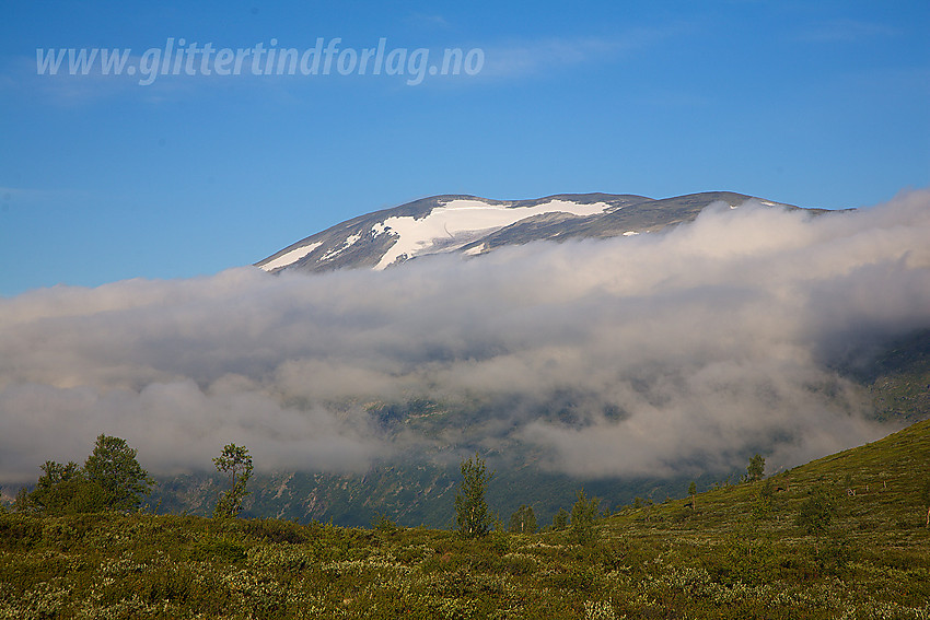 Fra Myrskardet mot Storivilen (Lomseggje 2068 moh).