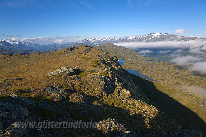 Fra Såleggje (1540 moh) vestover mot Storhøe (1477 moh) og Lomeseggen.