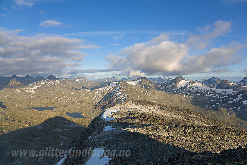 Utsikt fra Surtningstinden mot sentrale deler av Jotunheimen med bl.a. Høgvagltindane (2066 moh) sentralt i bildet.