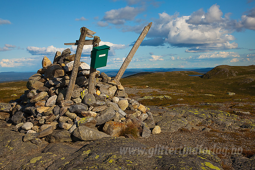 Toppvarden på Bjødalskampen.