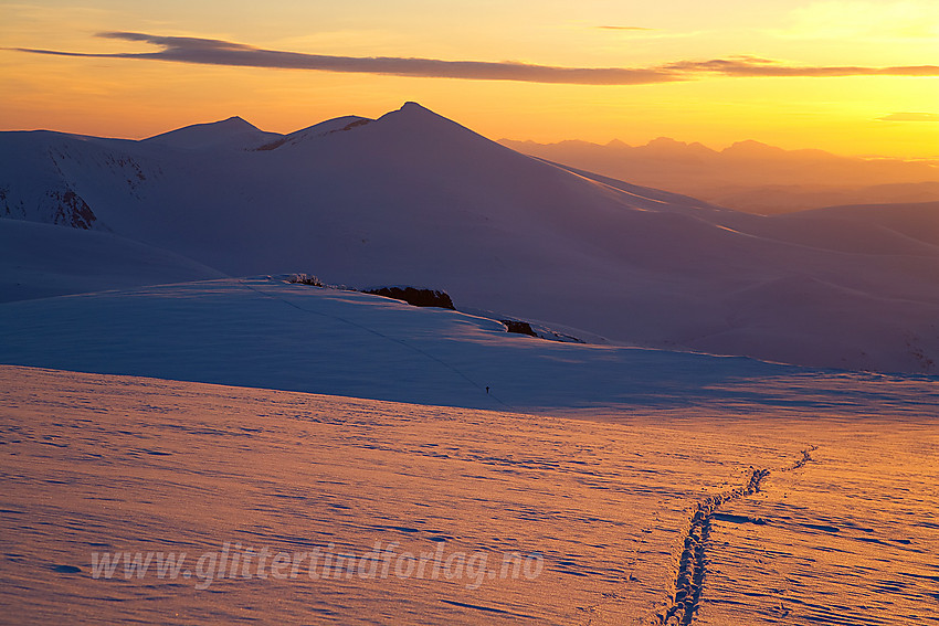 På Surtningssubrean en tidlig aprilmorgen mot Nautgardstinden (2258 moh) med Rondane bak til høyre. Legg merke til skiløperen nede i skyggedumpa på breen.