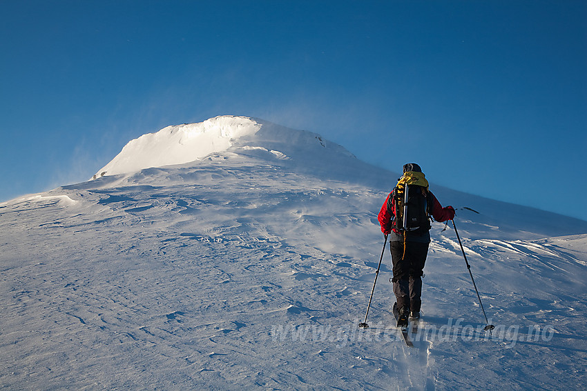 På vei opp de siste meterne mot Surtningssue fra nord en flott aprilmorgen til tross for litt snødrev.