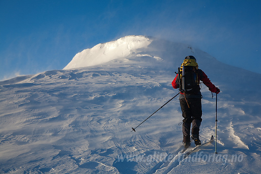 På vei opp de siste meterne mot Surtningssue fra nord en flott aprilmorgen til tross for litt snødrev.