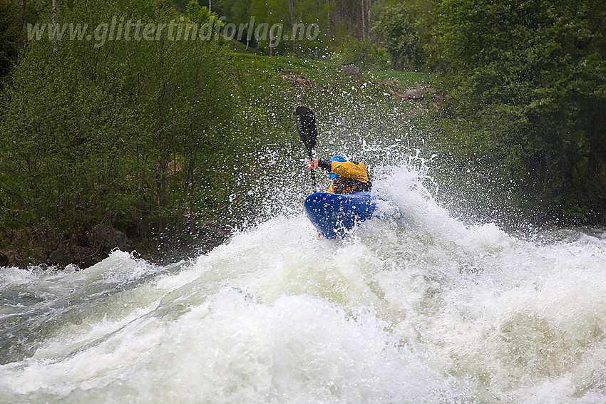 Padling i Sjoa nedenfor Heidal.