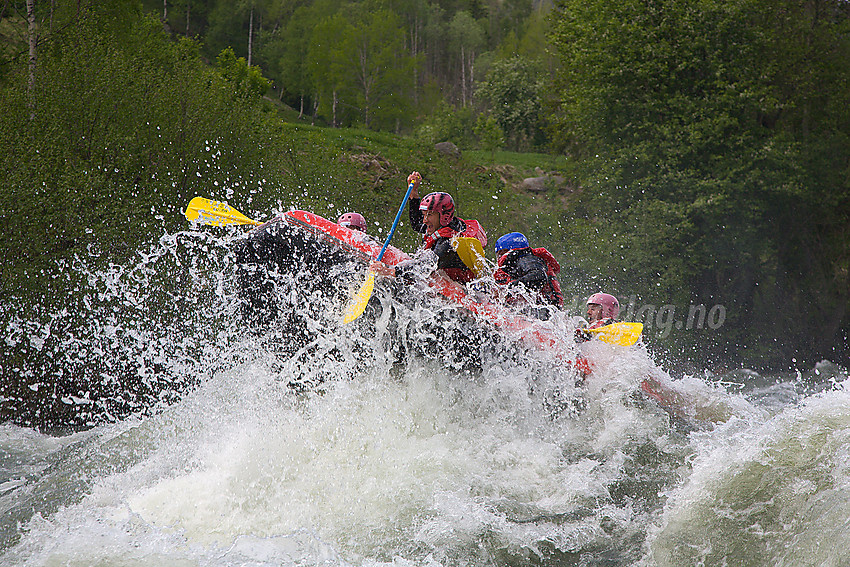 Rafting i Sjoa nedenfor Heidal. 