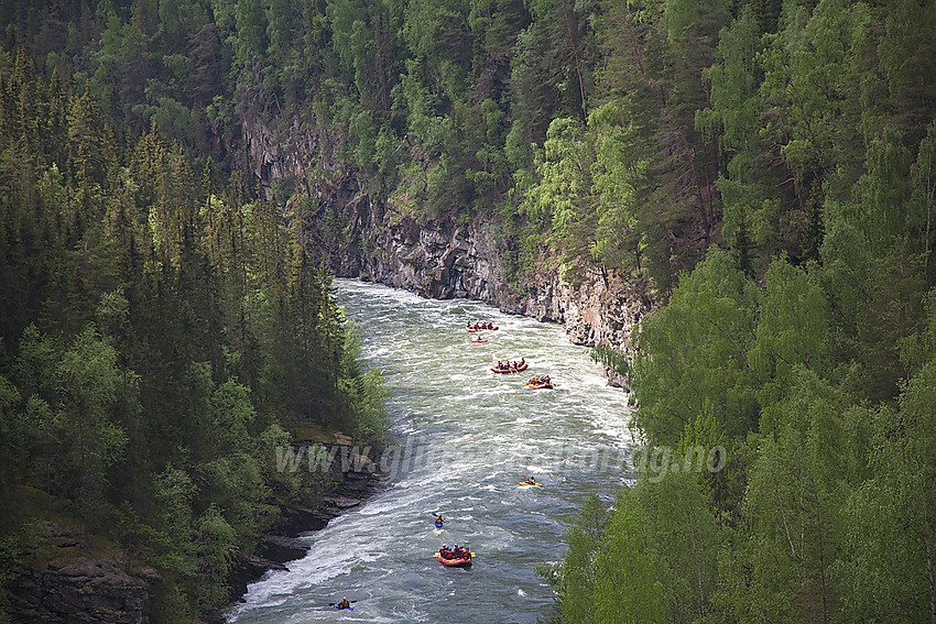 Rafting og padling i Sjoa nedenfor Heidal.