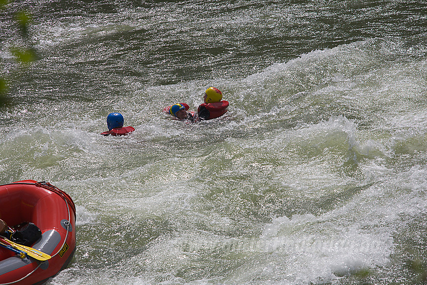 Rafting i Sjoa nedenfor Heidal. Her har en flåte nettopp tippet rundt og hele mannskapet har landet i vannet. Guidene går raskt i gang med det de er trent til og i løpet av minutter er alle ute av vannet igjen.