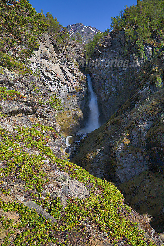 Storjuvfossen med litt av Galdhømassivet i bakgrunnen.