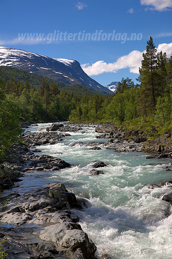 Flott sommerdag i Visdalen med høye snødekte tinder som lurer i bakgrunnen.