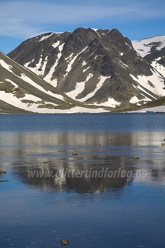 Ved Steinbuvatnet mot Steinbukampen (1997 moh).