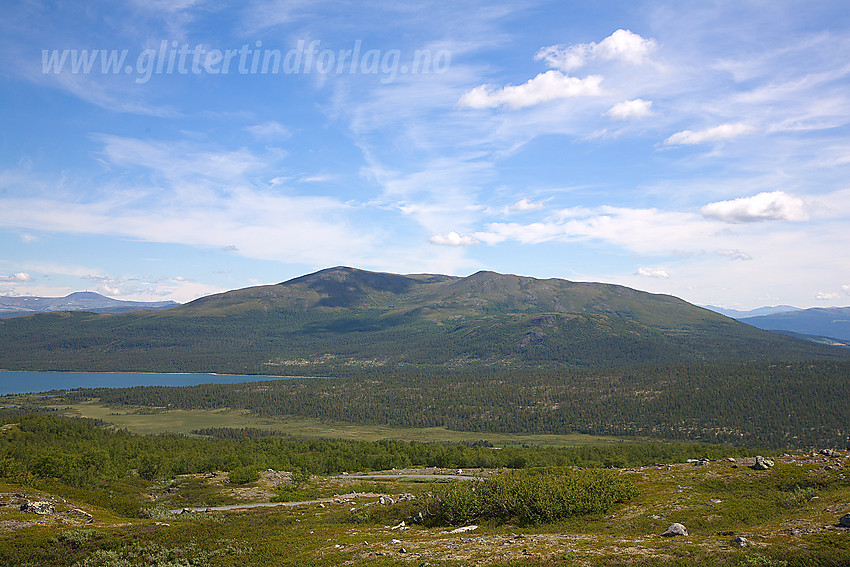 I bakkene ned mot Tesse mot Trollhøe (1370 moh).