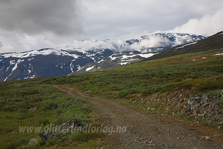 På vei over mot Smådalen fra nord. Trollsteinhøe (Austre) i bakgrunnen.