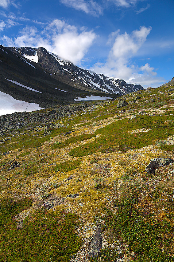 På vei oppover mot Finnshalsen med Store Trollsteinhøe i bakgrunnen.