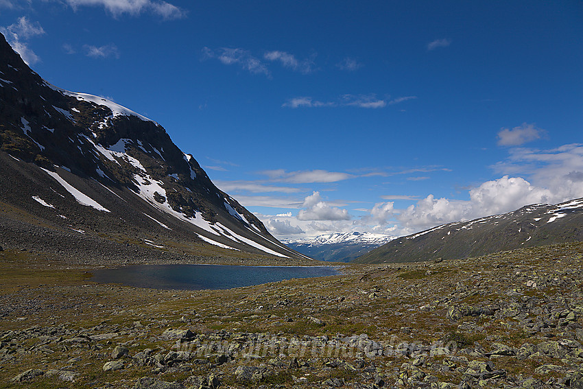 Oppe i Finnshalsen med utsikt i vest-nordvestlig retning mot Gokkerdalen med Hestbreapigger i det fjerne.