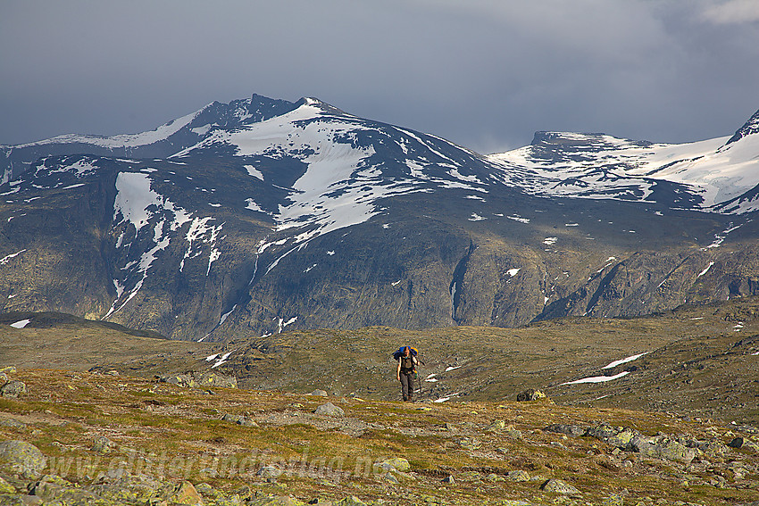 På vei mot Hinnåtetjønne. I bakgrunnen Gjendealpene med Tjønnholstiinden (2330 moh) og Tjønnholsoksle (2145 moh).