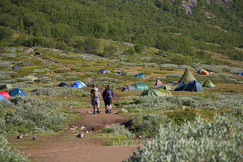 Disse på bildet skal helt sikkert til Galdhøpiggen. Stien mot toppen går opp i skogen til venstre i bildet. Bildet er tatt ved Spiterstulen rett på andre siden av elva der det er innrettet "campingplass".