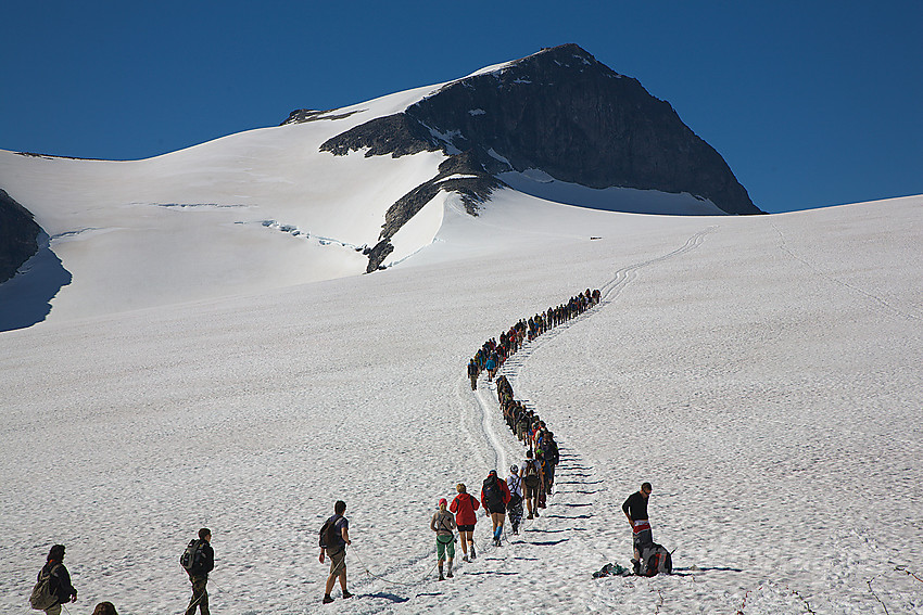 Folk på tur over Styggebrean med målet, Galdhøpiggen (2469 moh), ruvende i bakgrunnen.